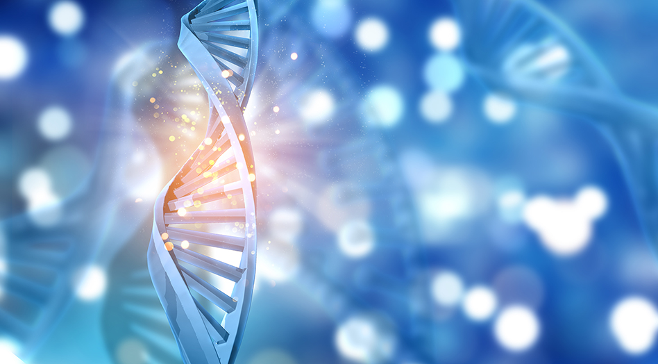 La edad biológica puede diferir hasta 12 años